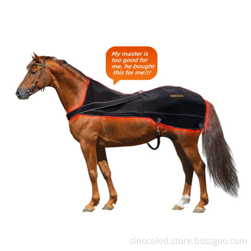 Red Light Therapy Instruments for Equine and Pet Care